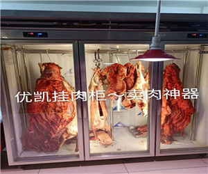 西安牛羊肉冷藏掛肉柜案例