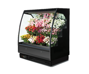 敞口鮮花風(fēng)幕柜
