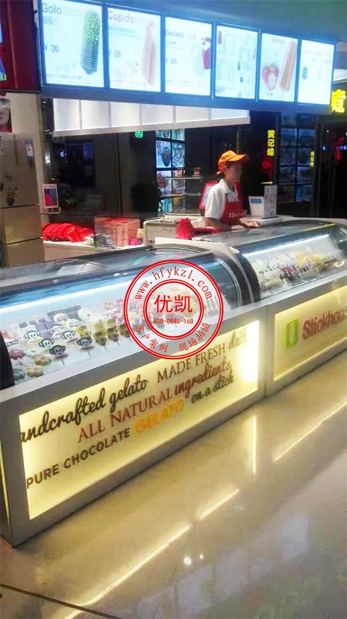 17BQ-B1經濟節能型淇淋展示柜