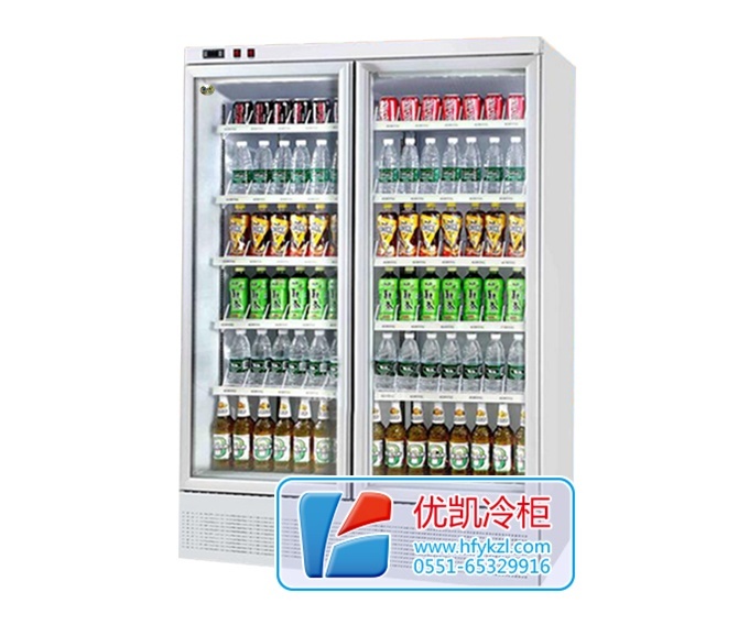 二門整機風冷飲料展示柜（底置壓縮機）