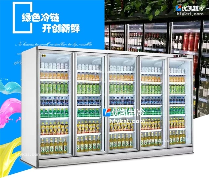 五門風(fēng)冷玻璃門陳列柜（外置機(jī)）