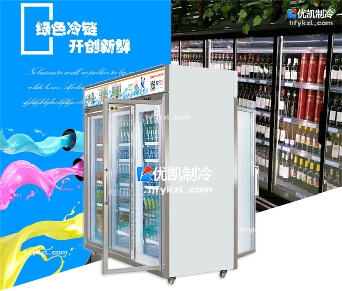 前后開(kāi)門(mén)冷柜