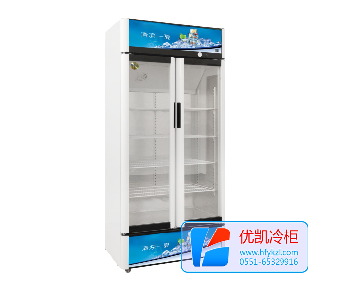 18款雙門(mén)直冷陳列柜