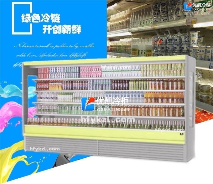 LF-N型風(fēng)幕柜