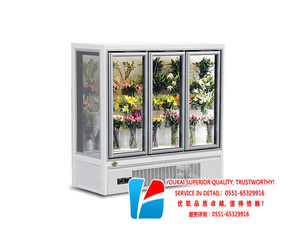 XH-C風(fēng)冷鮮花柜